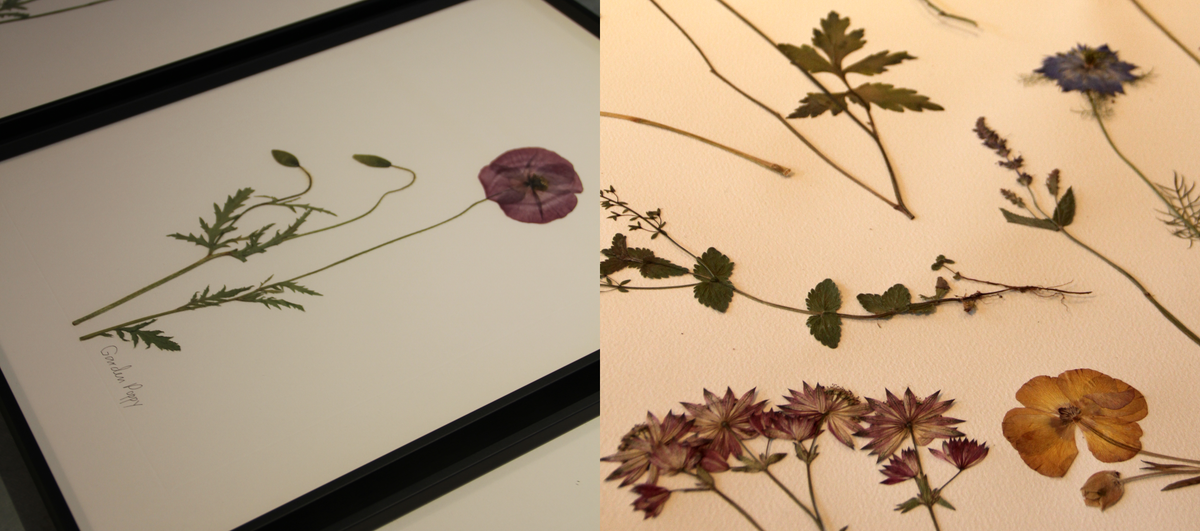 Flower Press The Best Flower Press To Buy And How To Press