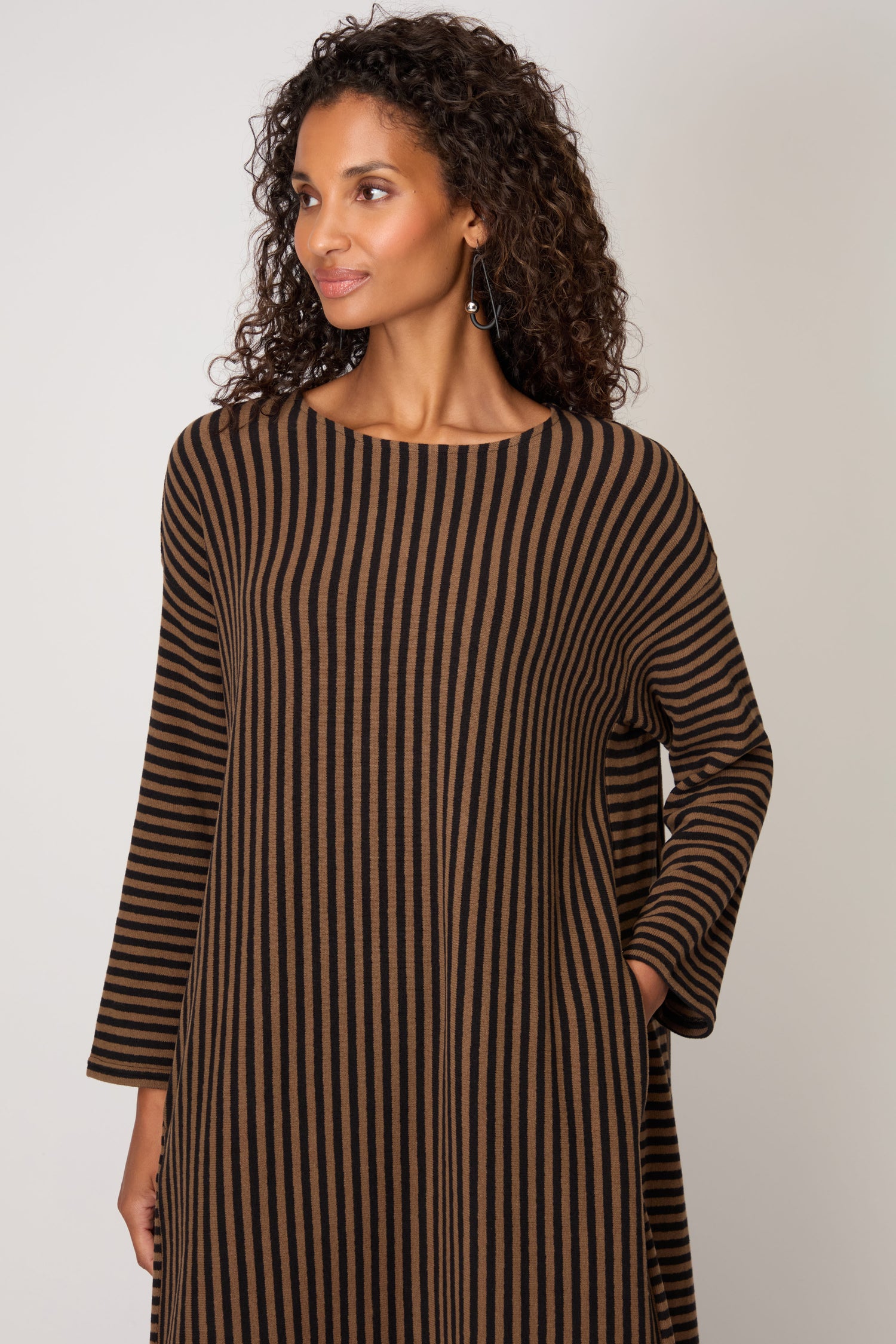 Fine Stripe Flared Brown Dress