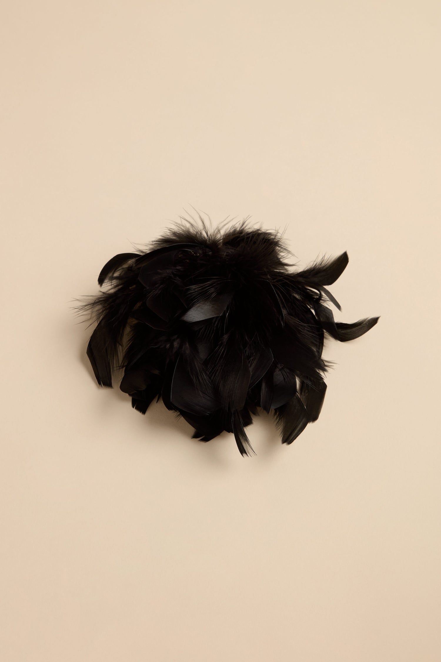 A Feather Corsage made of a cluster of black feathers styled as a statement accessory.