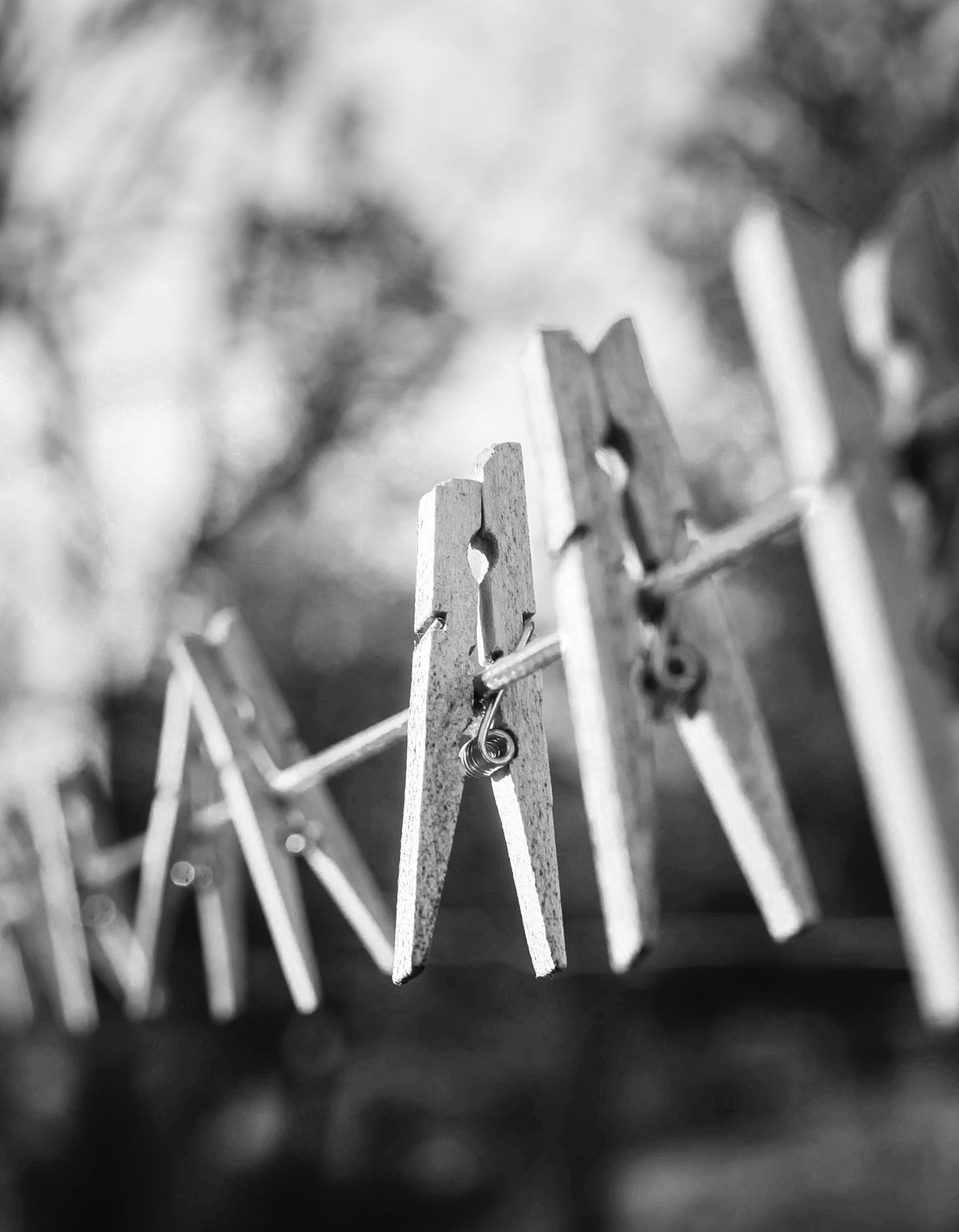 A black-and-white photograph of clothespins clipped to an outdoor drying line.
