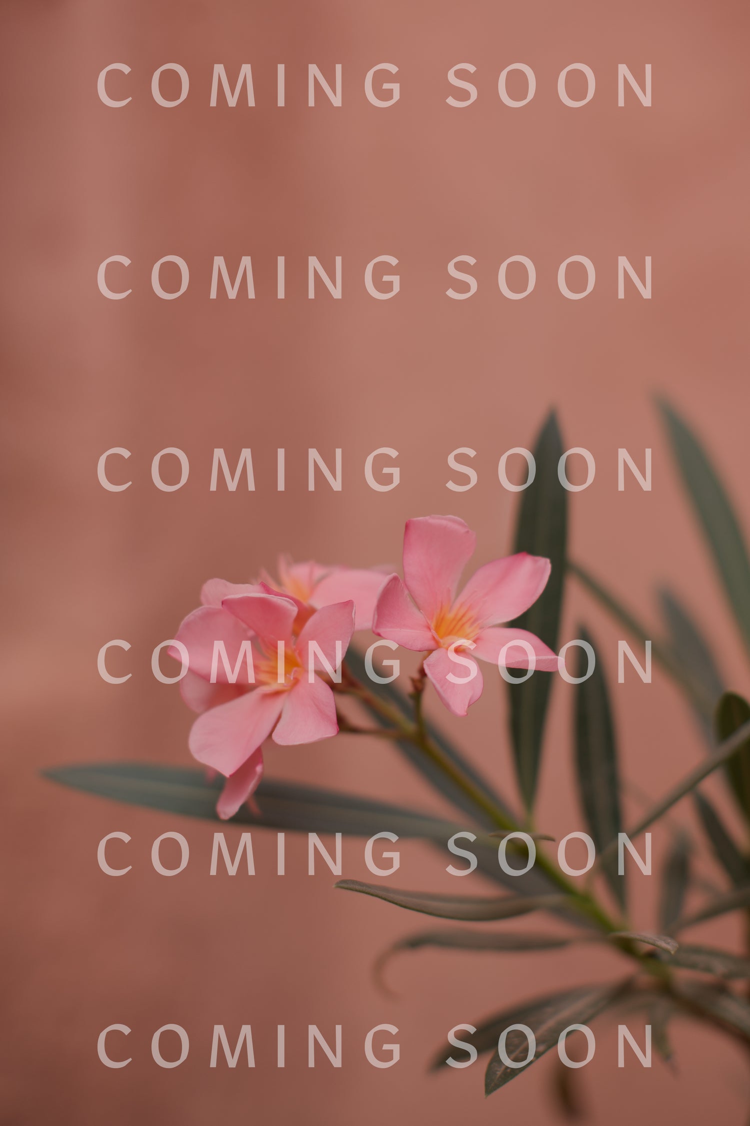 Pink oleander flowers against a coral background with the text "coming soon" repeated vertically in bold white letters on a Bohemian Woven Raffia Bag.