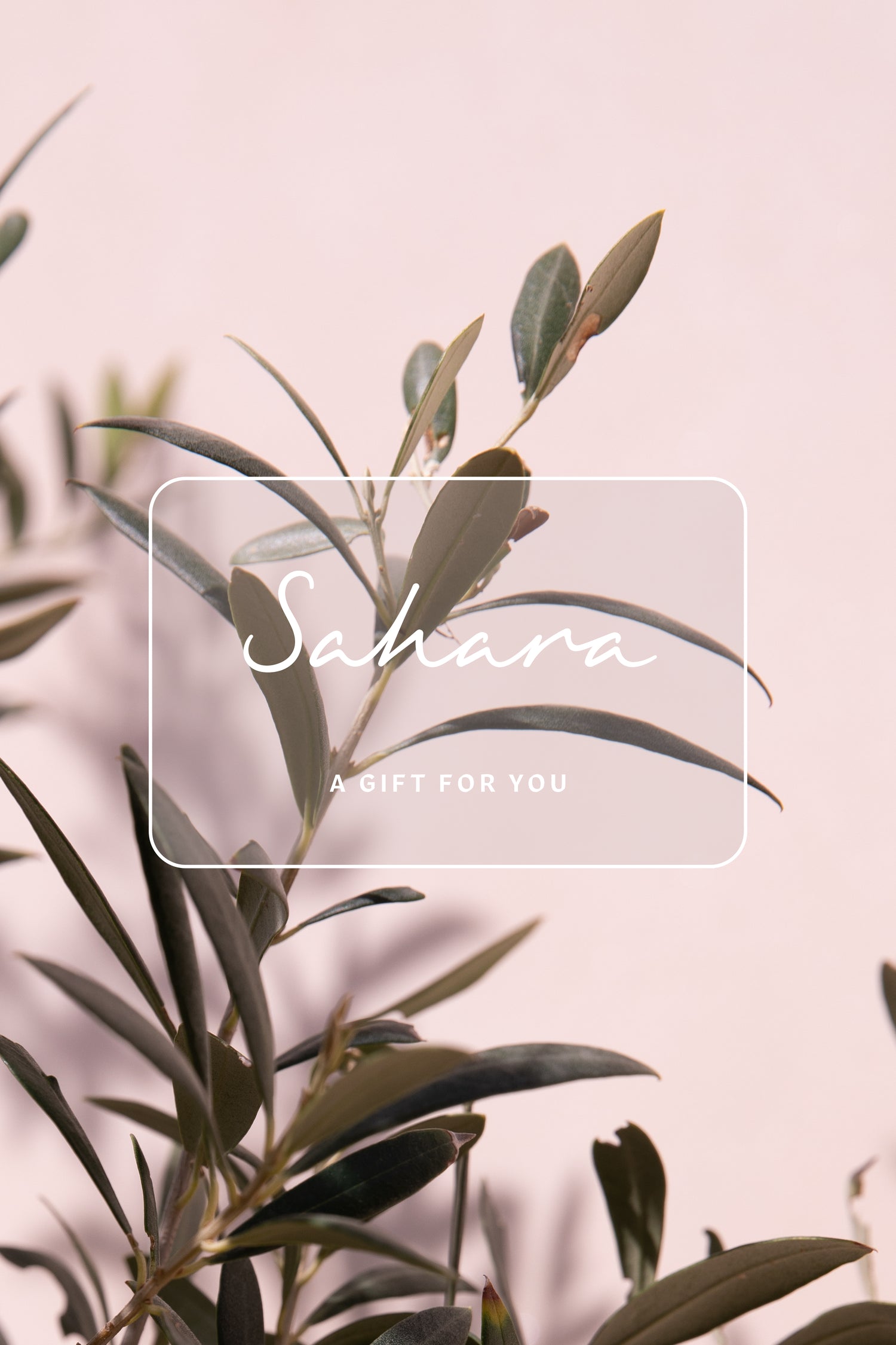 A Sahara leafy plant with the words "seara happy for you" available for purchase both in-store and online. Don't forget to make someone's day special with a Sahara E-Gift Card.