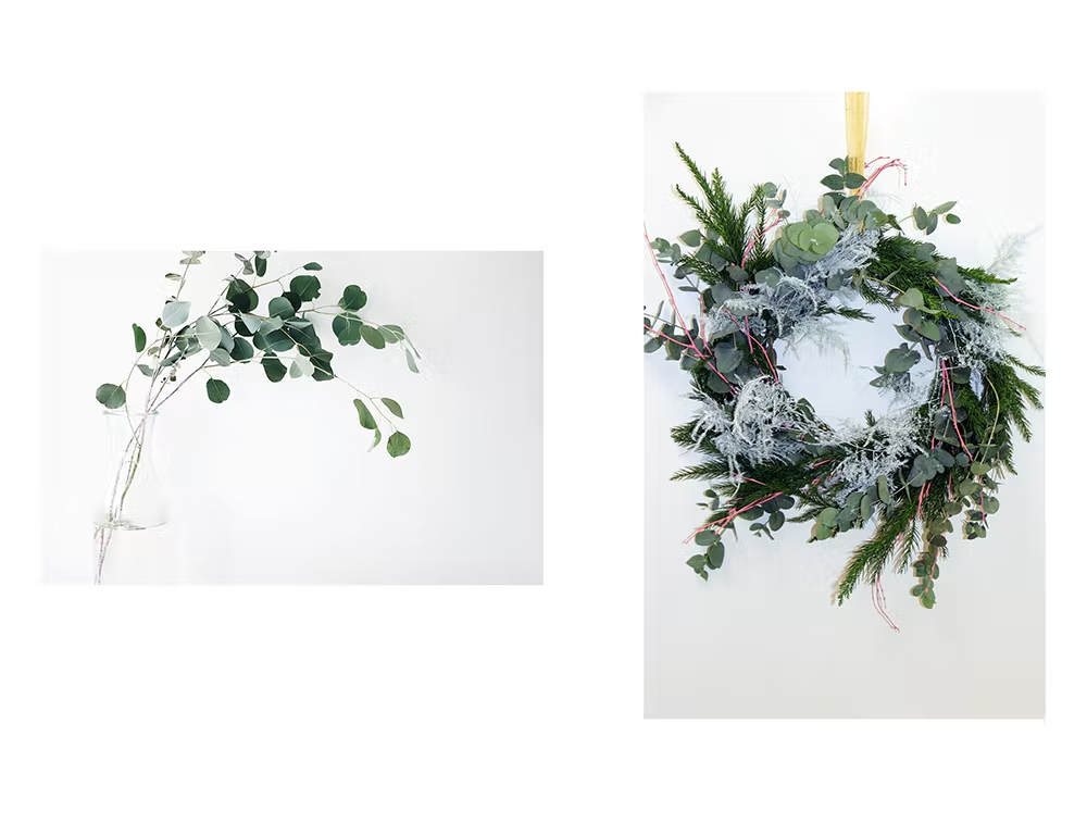 How to Craft a Wild Christmas Wreath