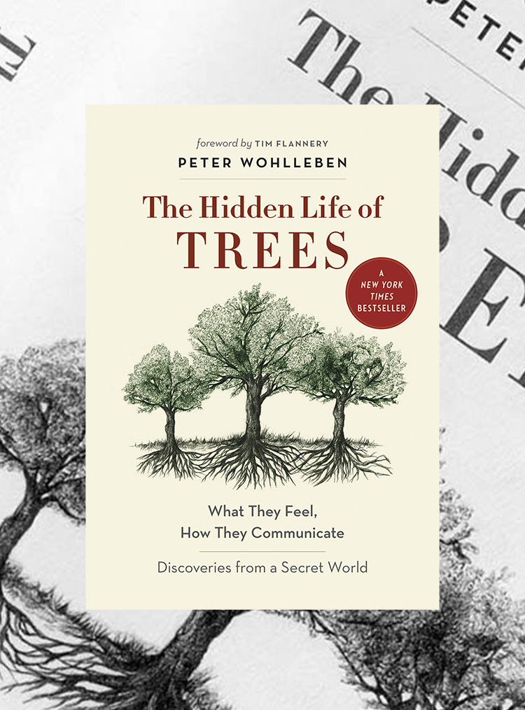 the hidden life of trees by peter wohlleben