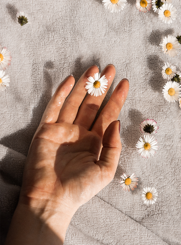 womans hand holding daisies 