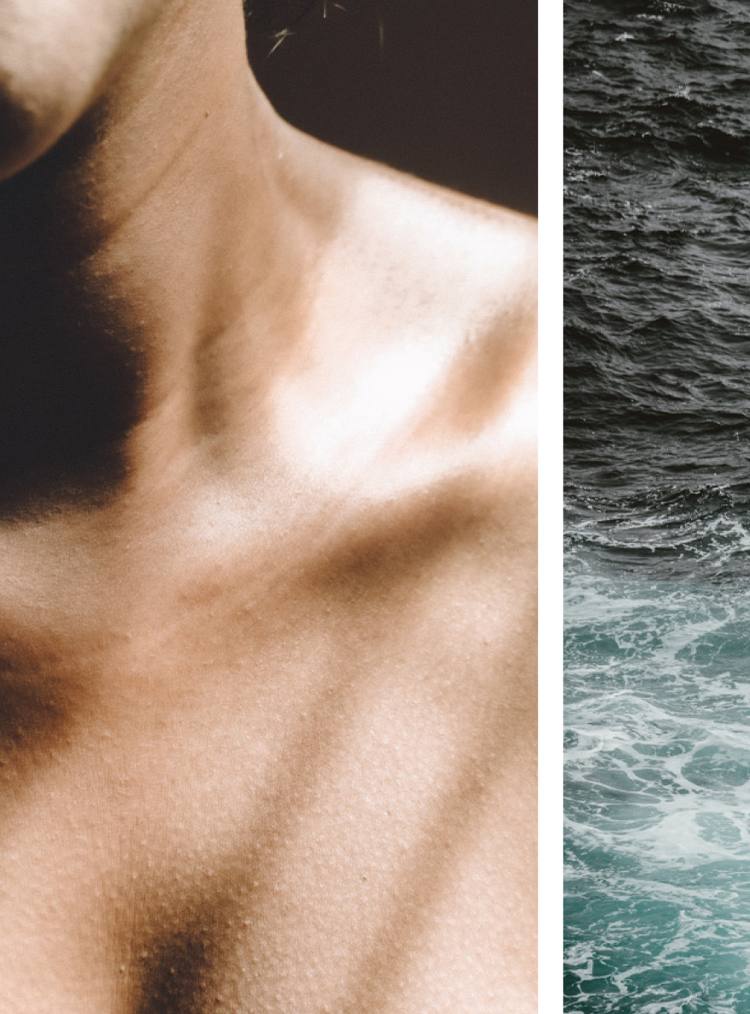 persons collar bone and the ocean