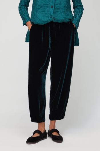 Silk Velvet Peacock Trouser