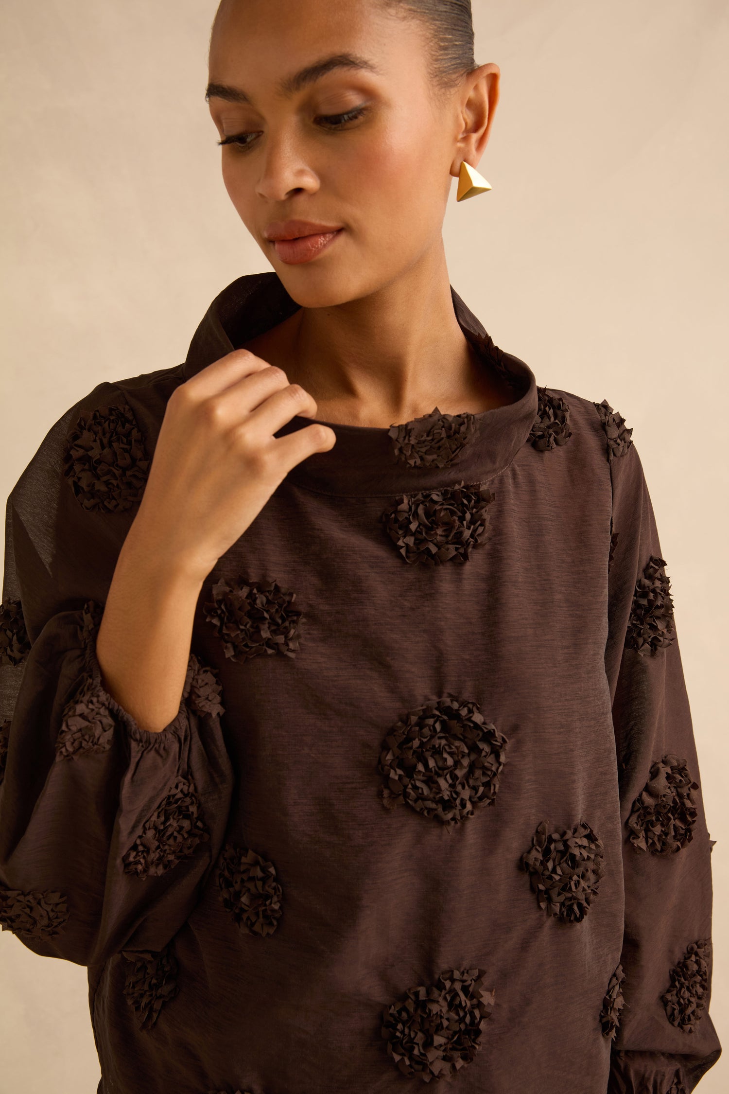 Applique Flowers Sheer Boxy Top in dark brown, featuring a boxy fit, balloon sleeves, scattered 3D floral appliqués, and a high neckline.