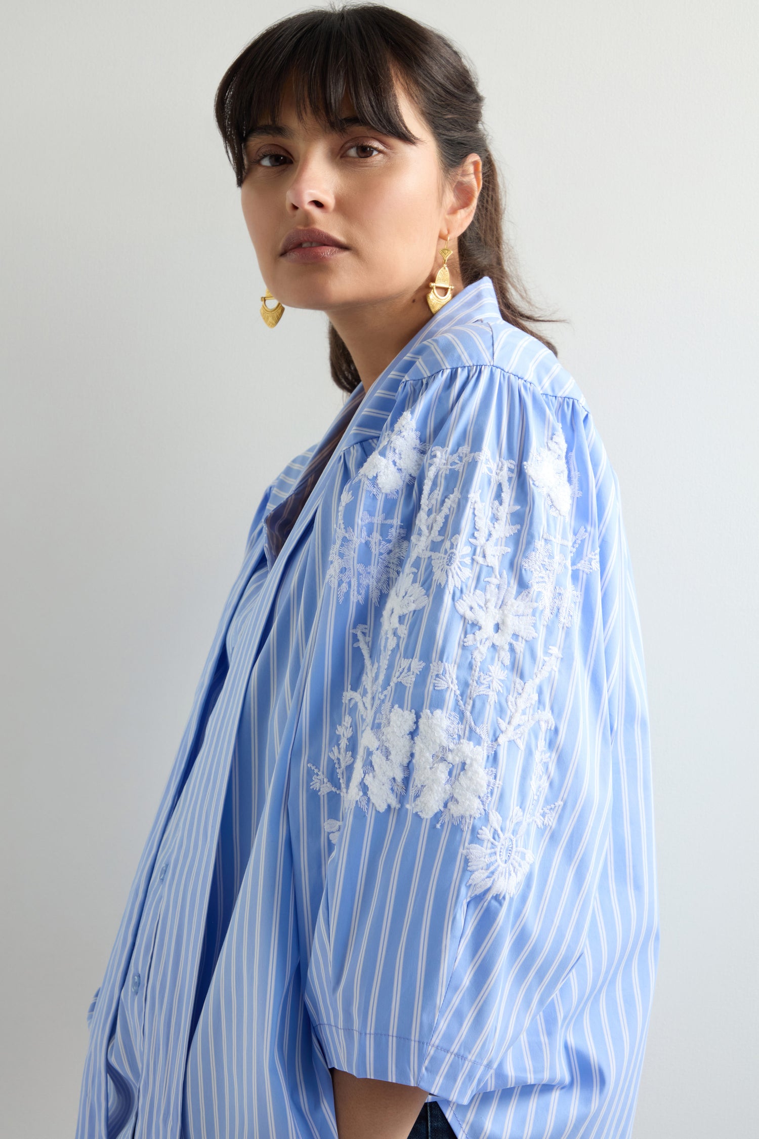 Embroidered Detail Stripe Shirt