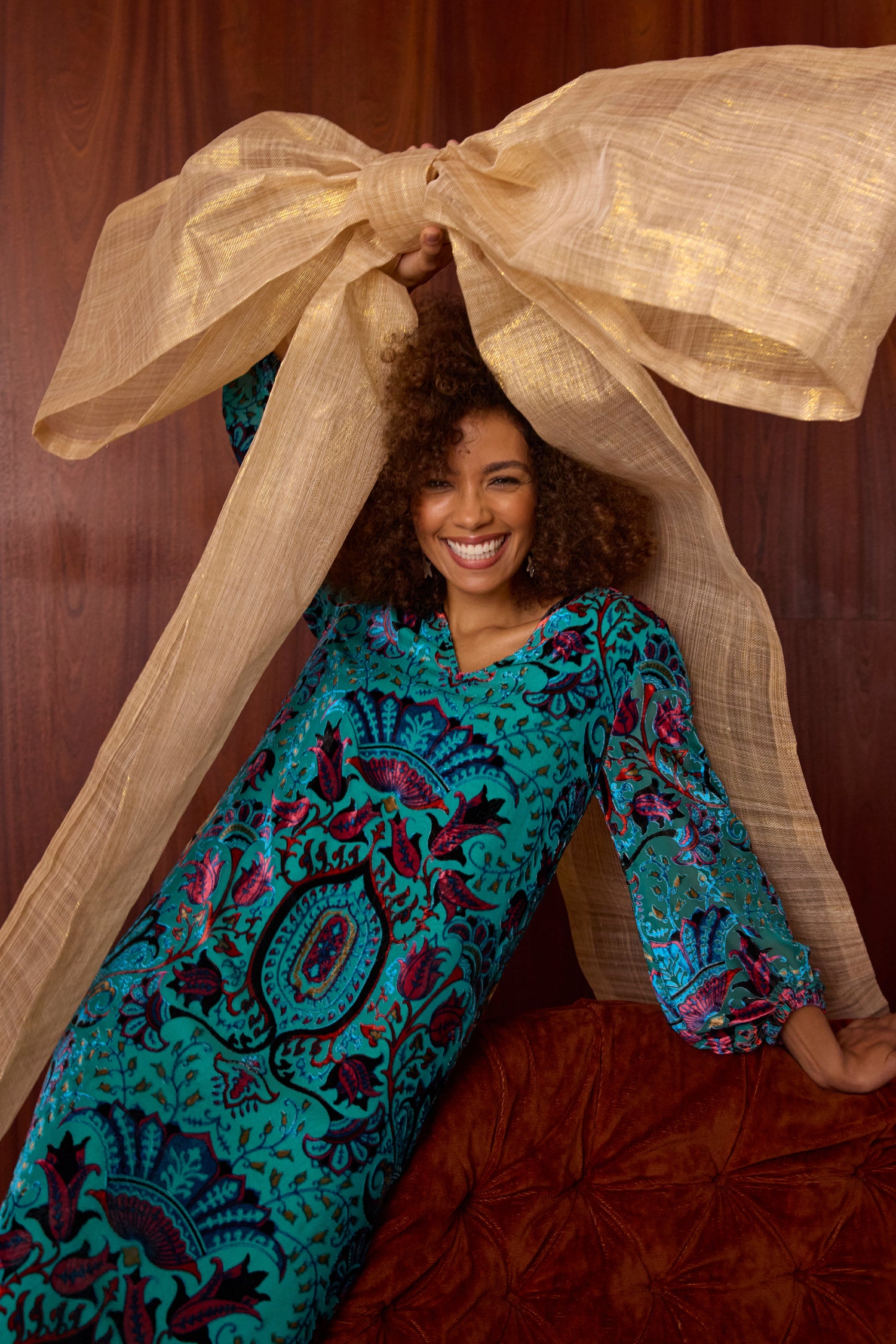 Winter Paisley Devore Dress